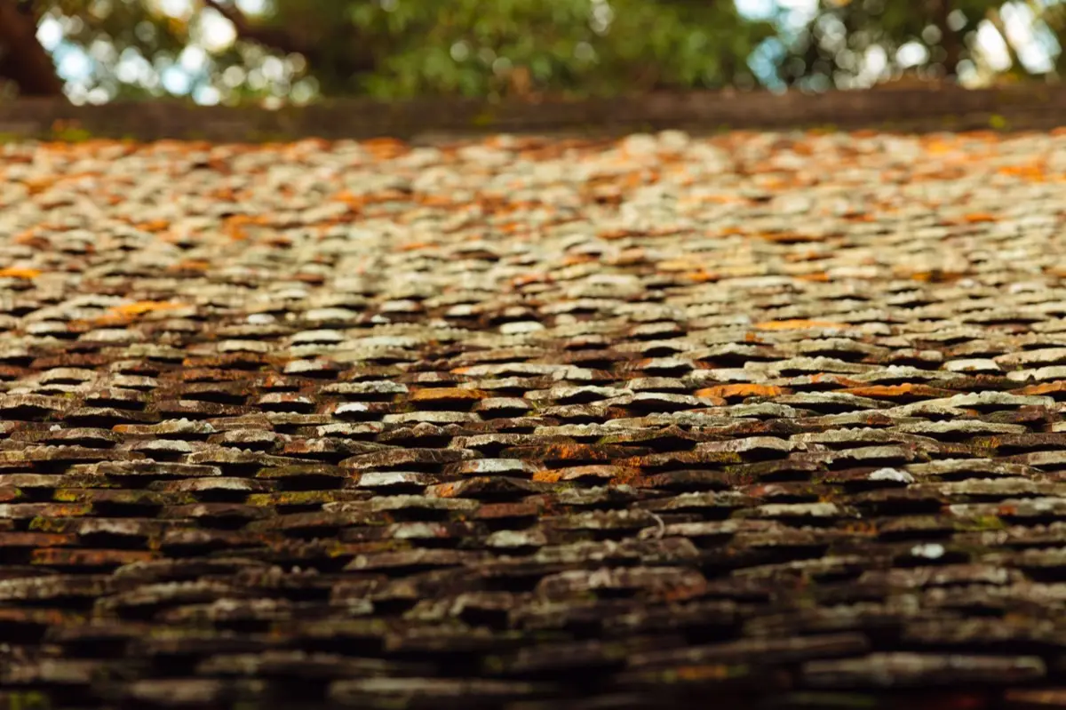 Aging shingle roof with moss growth and granule loss in New Rochelle, NY
